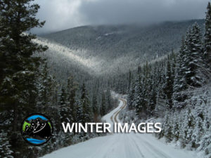 DTC_Winter_Images