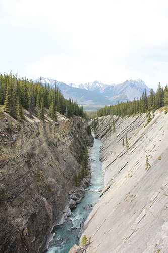 Siffleur Falls Hike Alberta