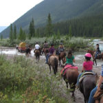 JKL Trail Rides horseback