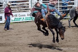 86th Annual Bighorn Stampede