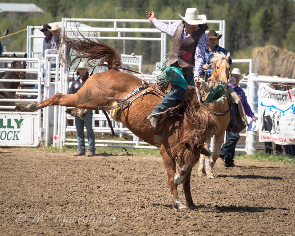 Bighorn Rodeo & Parade