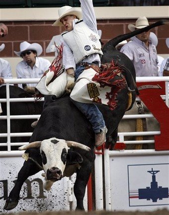 World Professional Bull Riding