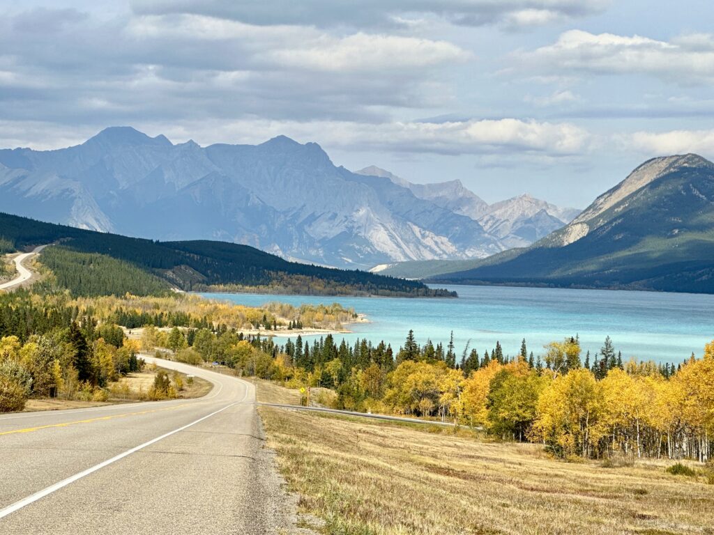 Abraham Lake view